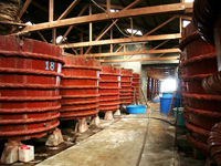 Cơ sở sản xuất